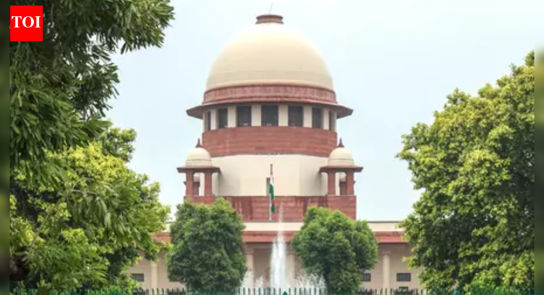 'Something wrong in HC': SC scraps plea on Karur stampede probe; warns TN govt