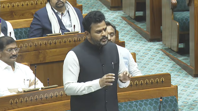  Minister says government 'stepped in immediately' to cap air fares; adds prices are on par globally