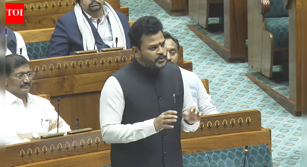 IndiGo crisis: Minister says government 'stepped in immediately' to cap air fares; adds prices are on par globally