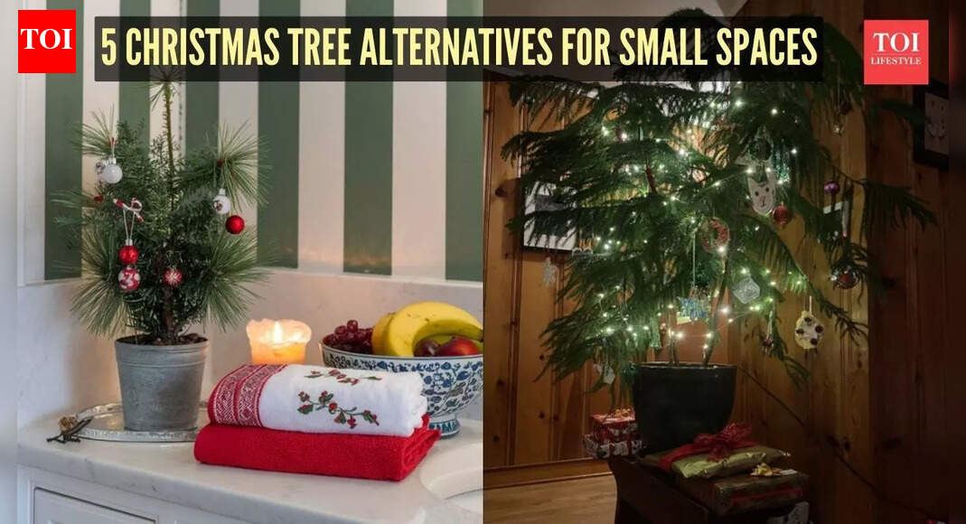Mini Christmas trees: 5 small plants you can decorate inside your apartments