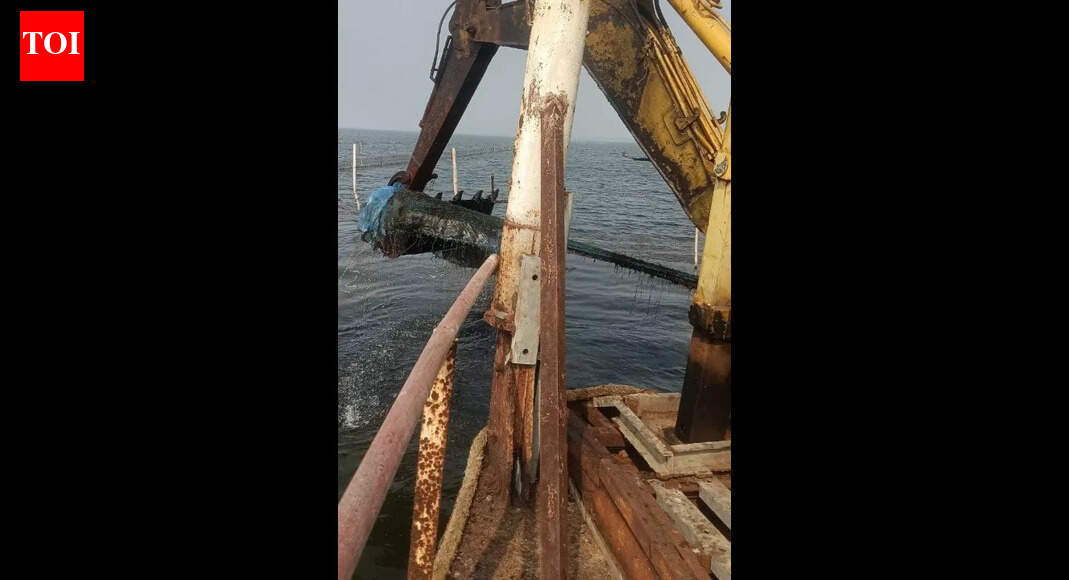 Chilika lake encroachment drive: Another 1,100 acres freed from prawn gherries