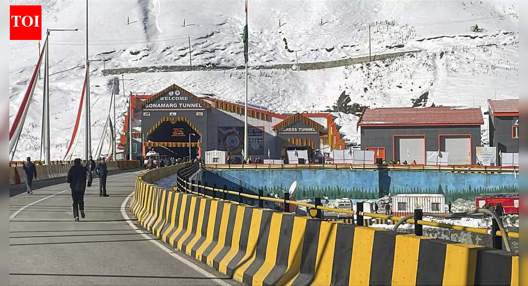 ‘अधिकारियों को परियोजनाओं के हर चरण का स्वामित्व होना चाहिए’: सड़क मंत्रालय ने सुरंग सुरक्षा दिशानिर्देश जारी किए | भारत समाचार