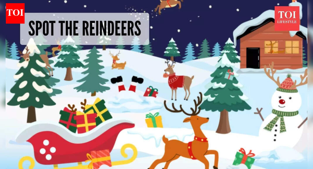 Christmas challenge: Only a person who has excellent problem-solving skills can spot all the reindeer