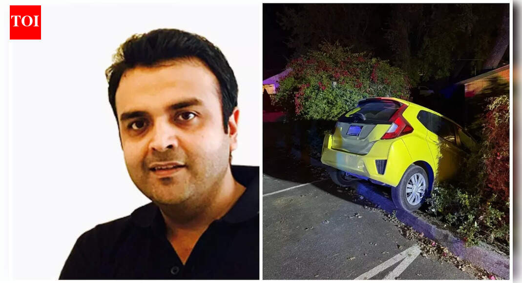 Indian-origin millionaire tried setting US winery on fire; crashed Tesla