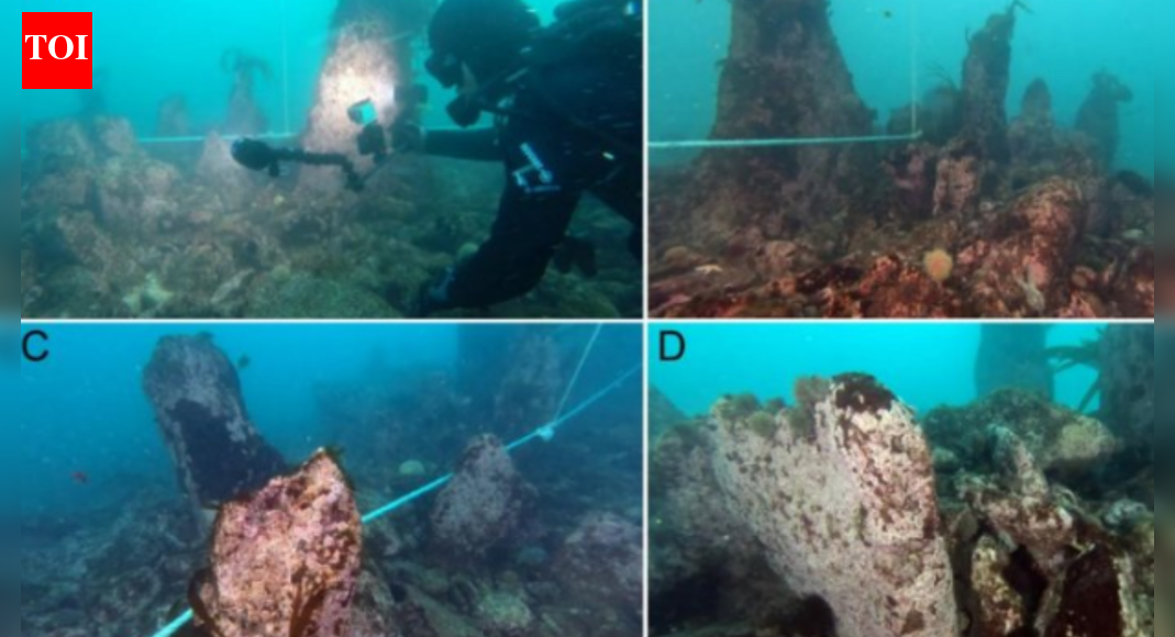 'Opens up new prospects': Ancient underwater wall discovered off French coast; hints at coastal societies