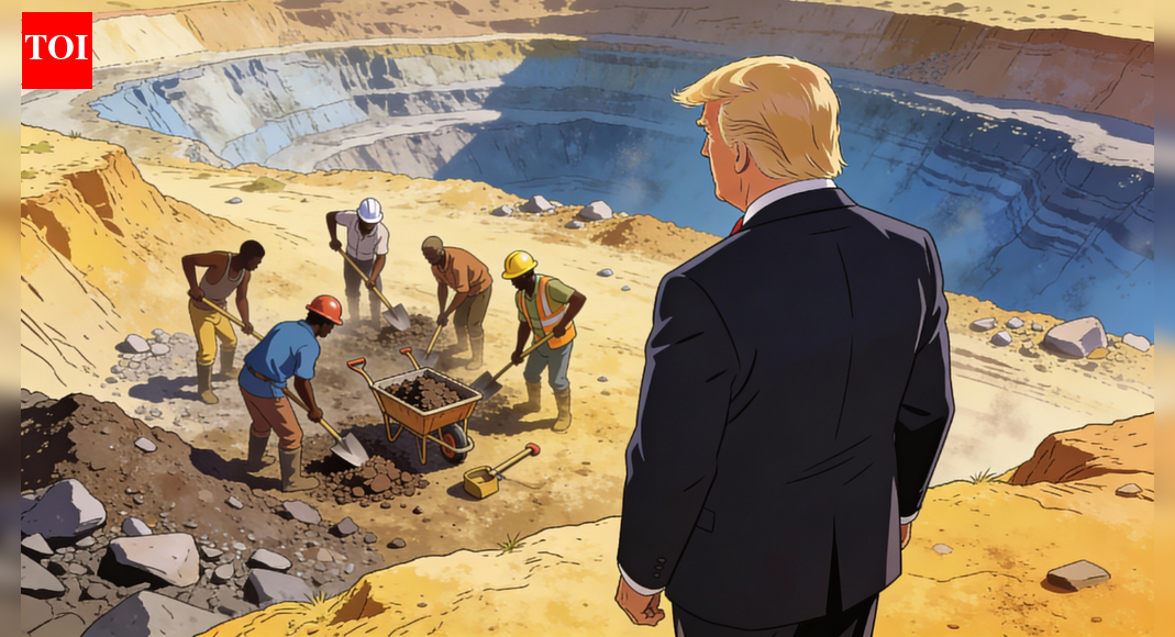 Will Trump's security strategy benefit resource-rich Africa?