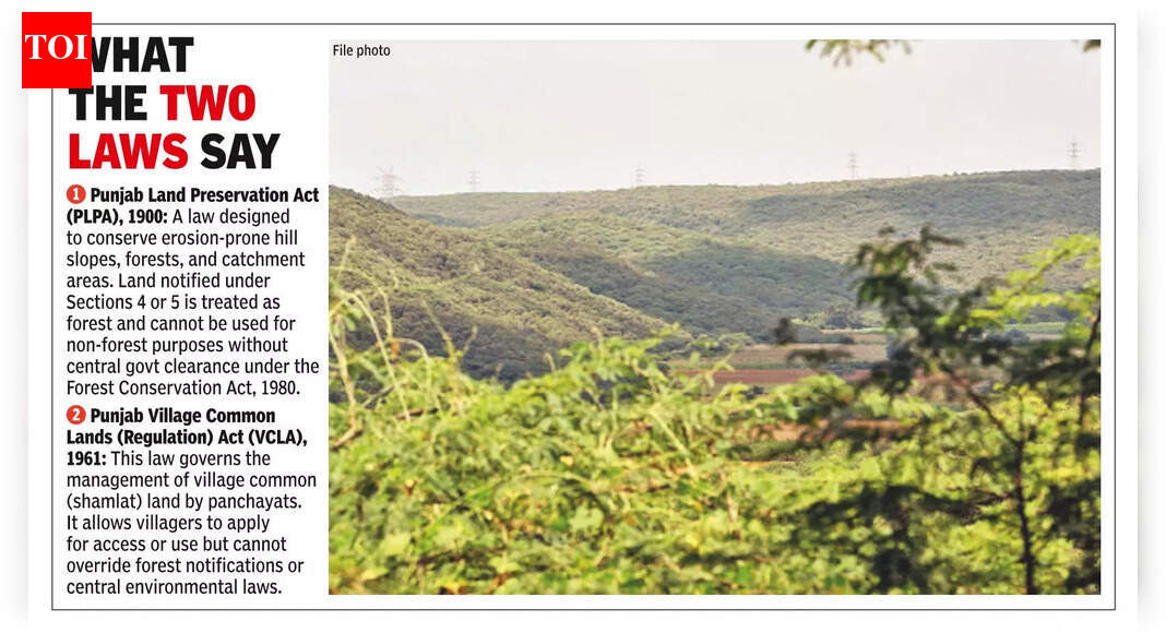 Aravali belt sees bids to open up PLPA areas citing village common land law