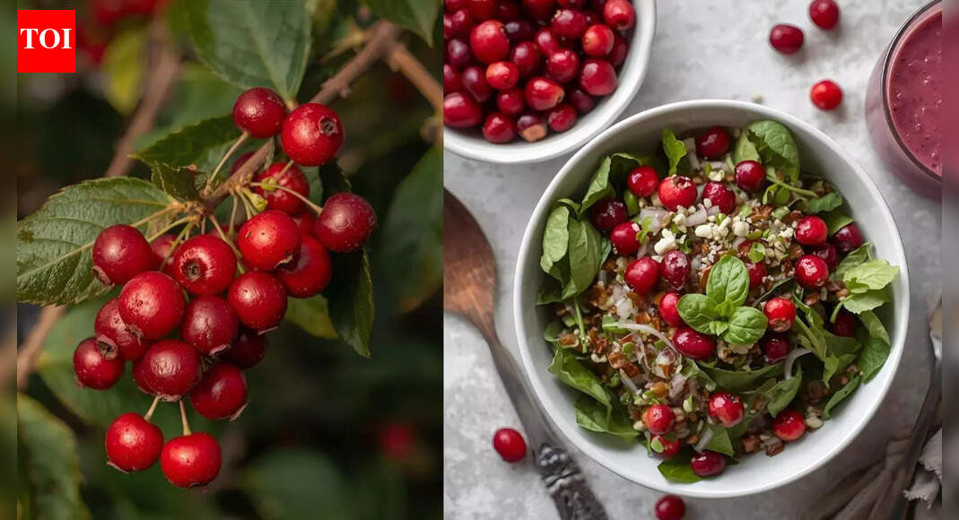 Can eating these berries reverse UTI? How does it help and ways to add it to the diet