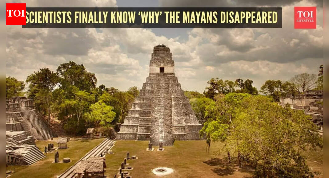 Why Mayans disappeared: Scientists finally crack the mystery of the ancient civilisation's collapse