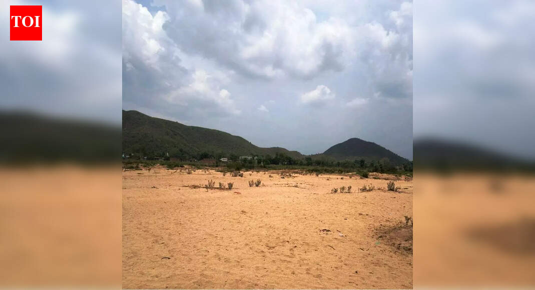 Gaya faces severe environmental degradation; urbanisation exacerbates air quality and water scarcity issues