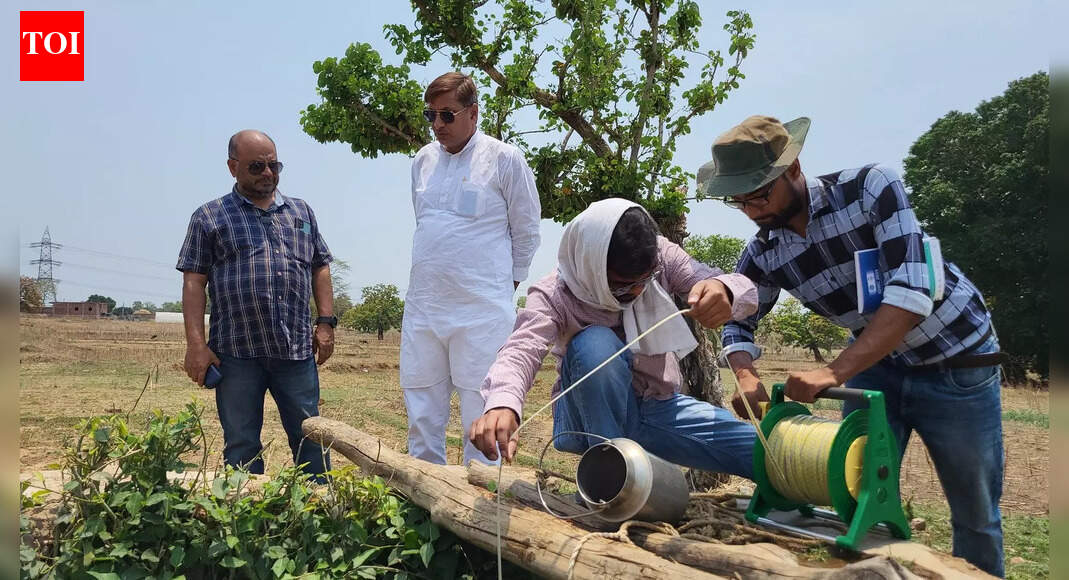 When will it end: Gaya's agricultural land shrinks by 58% as urbanisation takes toll