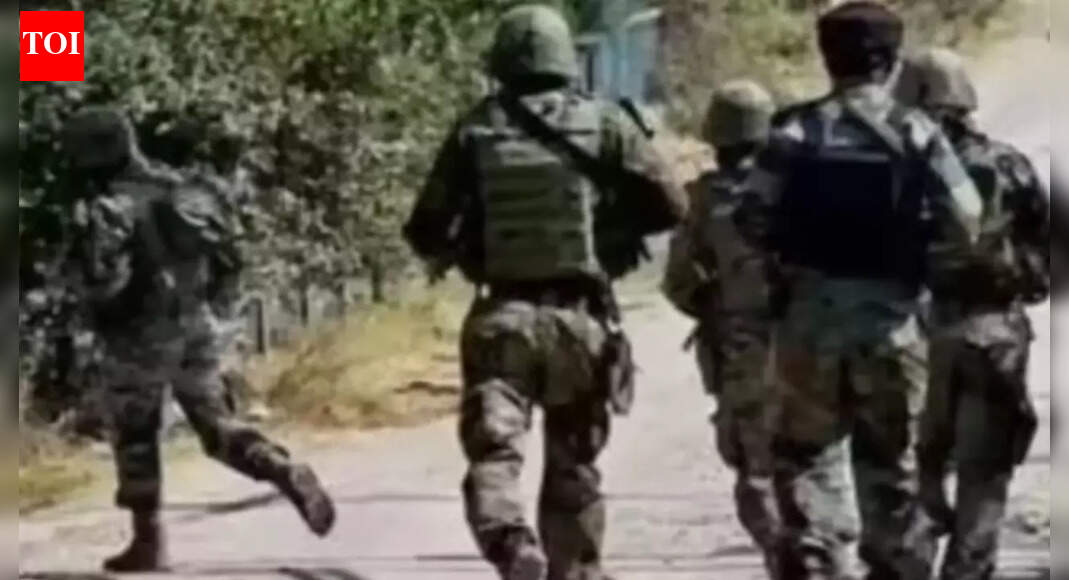J&K: Searches launched in Akhnoor and adjoining areas; Jaish terrorist arrested along border