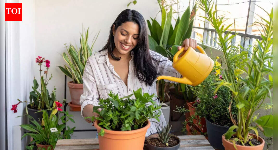 9 easy-to-grow vegetables for home gardens and balconies