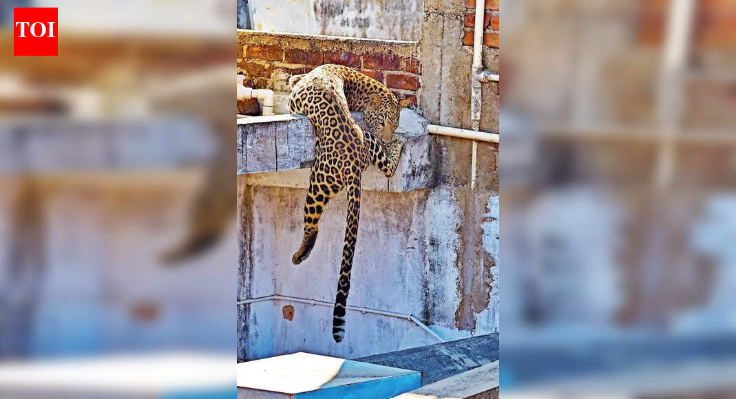 Abtak.com - Other - News Image