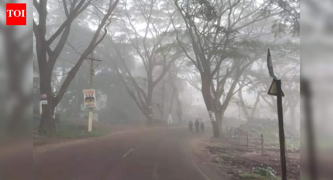 Mercury rises by a degree after season’s lowest drop to 17.5 degree celsius