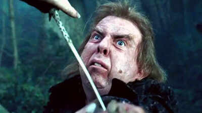  Timothy Spall loved his character as Peter Pettigrew, reveals his favourite scene, which includes him, Voldemort and 'the boy who survived'