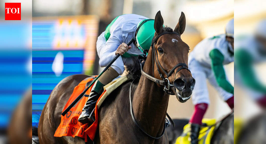 Pesi Shroff schooled Fynbos tipped for victory in 1000 Guineas