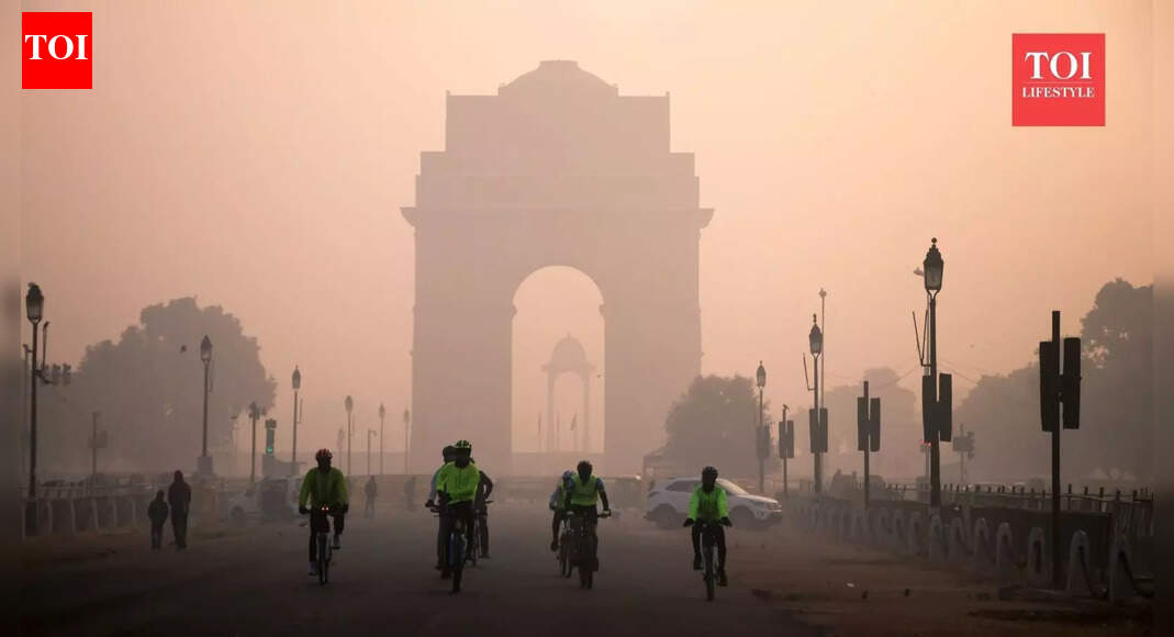 ‘Delhi NCR is cooked’: viral Reddit post sparks debate on life, safety, and pollution