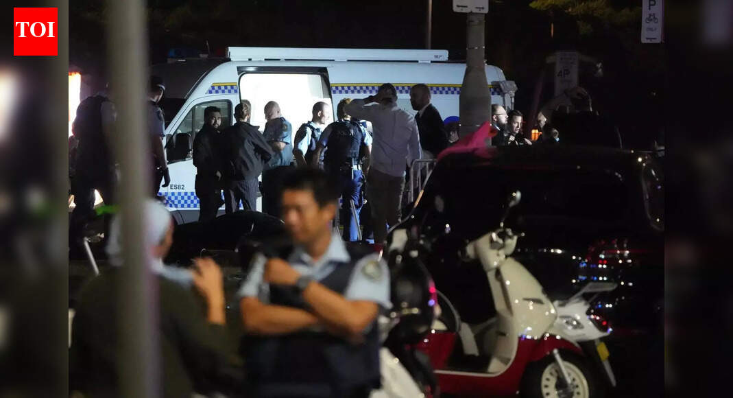 Bondi Beach shooting: Agencies identify one gunman - what we know so far