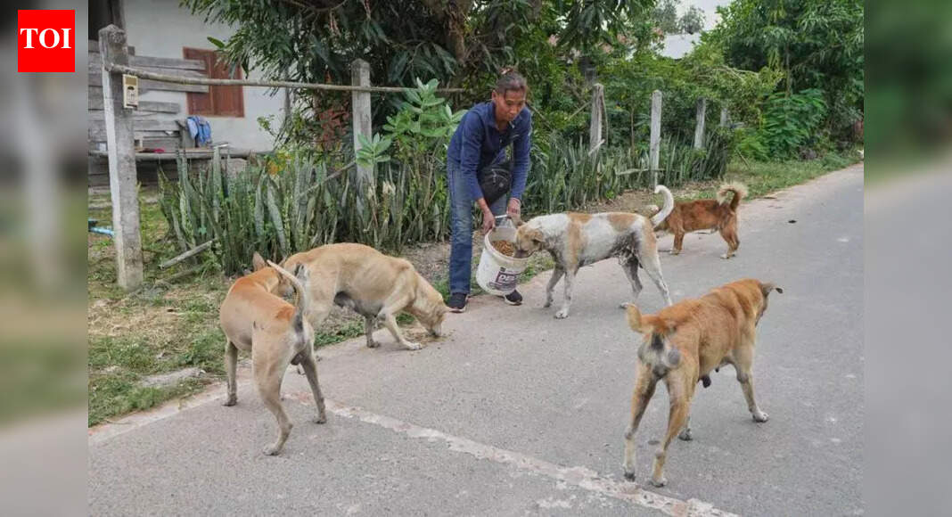 Mumbai: Activists say they will form animal lovers party if cruelty does not end