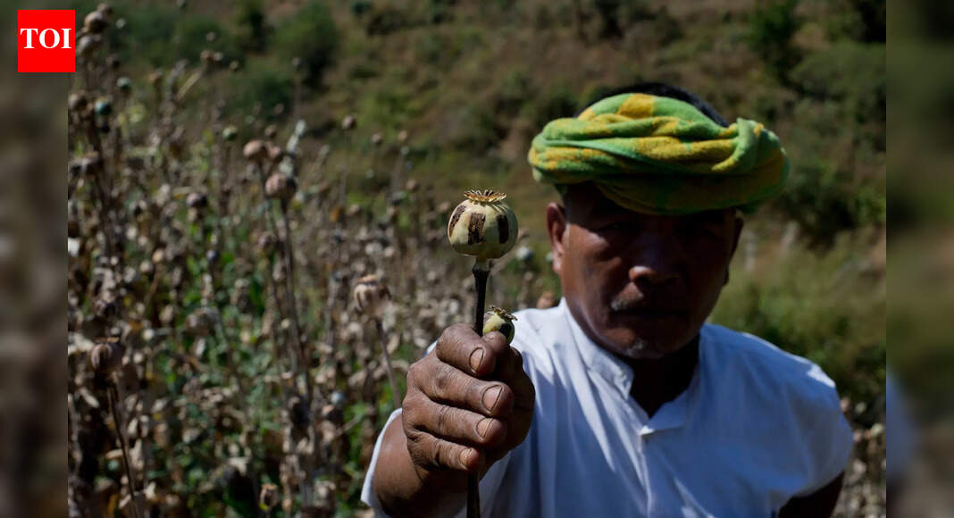 Two held with opium, poppy husk in Hazaribag