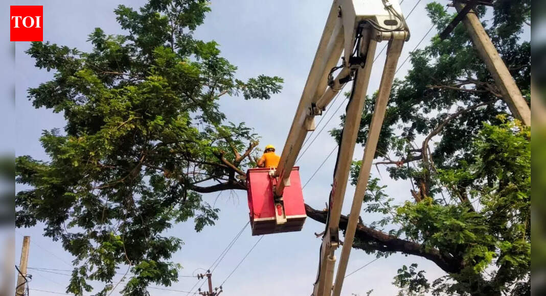 13 tonnes of green waste generated daily in city