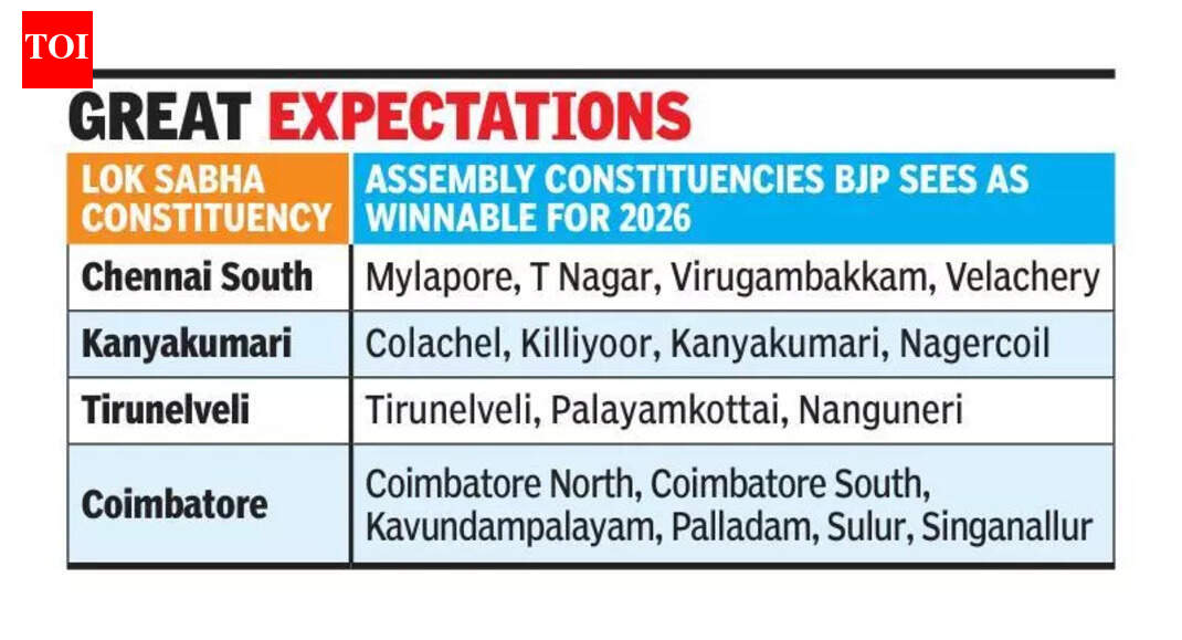 TN BJP identifies 65 winnable seats in 2026 assembly polls | Chennai News
