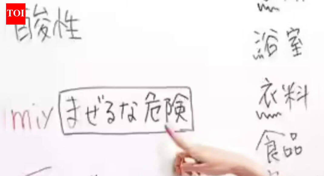 Jobs in Japan beckon: Indian youth flock to language classes; blue-collar roles drive surge