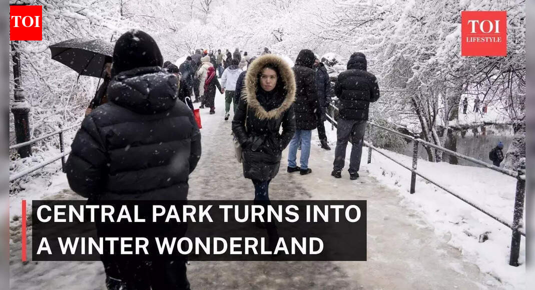 Central Park turns into a winter wonderland as New York City gets its first big snowfall