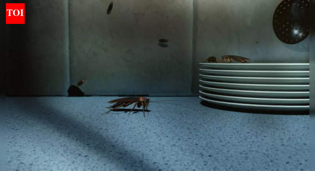 Not just dust: Doctor reveals cockroach allergy as a hidden cause of cough in children