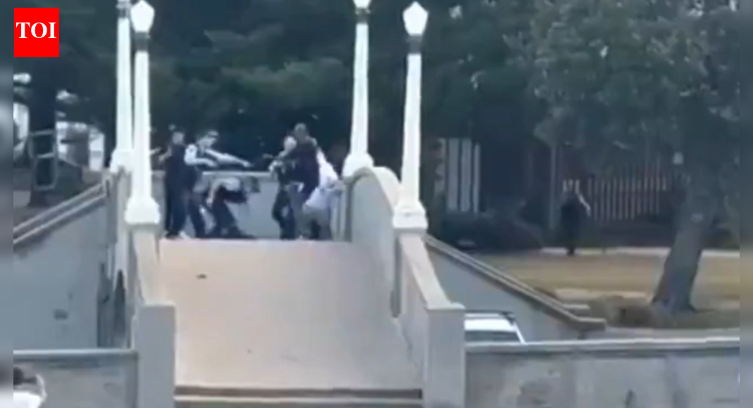 Bondi beach attack: New video captures tense police standoff, the moment shooter was neutralised — watch