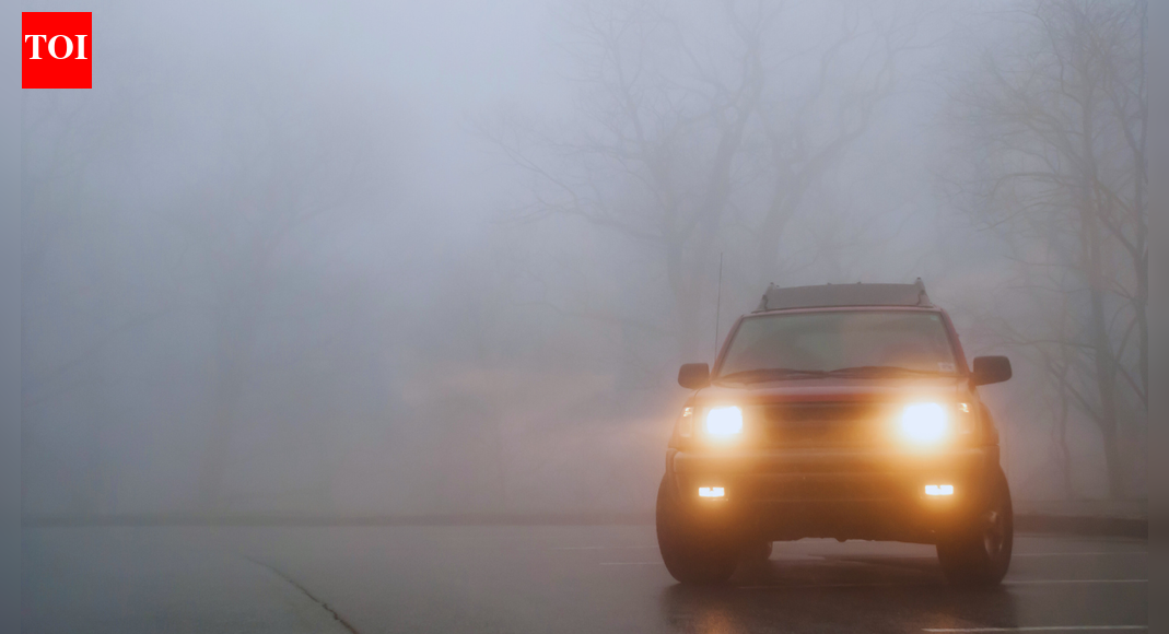 IMD forecasts dense fog for Delhi, Uttar Pradesh, Northeast, and more as cold wave persists: What travellers should know