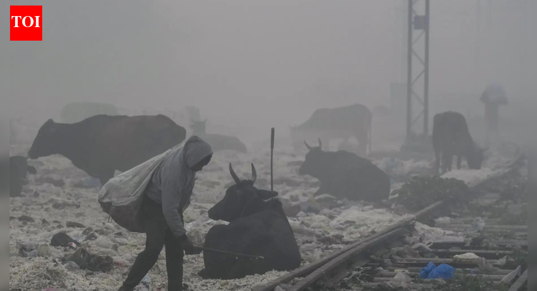 Delhi air pollution: Singapore, UK and Canada issue advisory as AQI soars; caution travelers