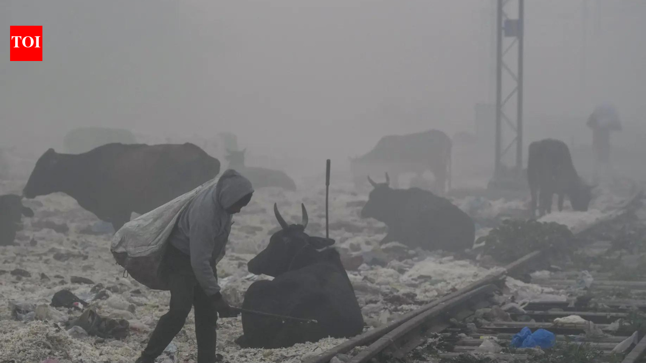 Delhi air pollution: Singapore, UK and Canada issue advisory as AQI soars; caution travelers | India News - The Times of India