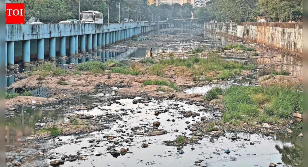 Battle for Mumbai civic body: Mangrove loss, polluted river dominate municipal poll talk in Dahisar and Borivli