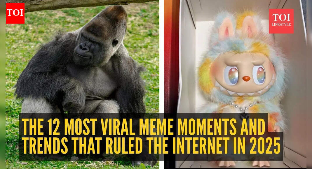 The 12 most viral meme moments and trends that ruled the internet in 2025
