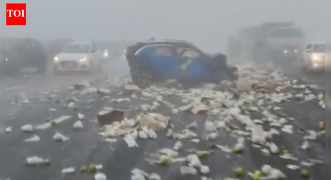 Deadly pile-up on Delhi-Mumbai Expressway: 4 dead as multiple vehicles collide due to dense fog