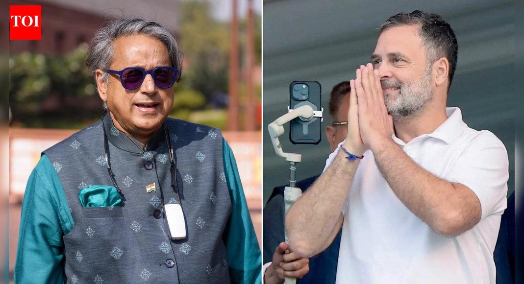 'Thoughtful analysis': Tharoor shares post comparing his ideas with Rahul; what it said