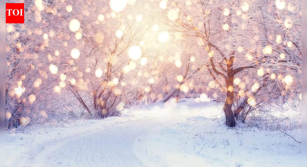 Winter Solstice 2025: Understanding the meaning behind the ‘shortest day of the year’; know the date, time and everything you need to know