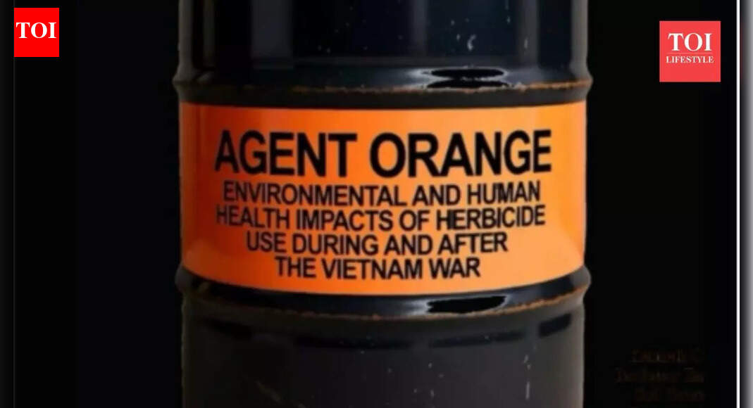 'America's buried toxic secret': Former Army officer warns of a cancer causing chemical that is silently killing Americans