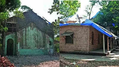 What's lost when hospitals lose their trees