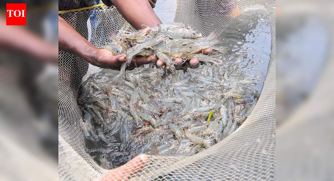 26 women SHGs in Chamarajanagar district receive training in fish farming