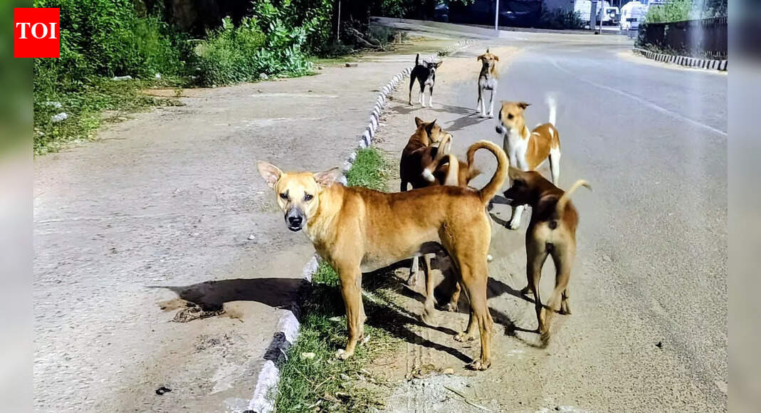Bhubaneswar Municipal Corporation plans permanent shelters to house stray dogs