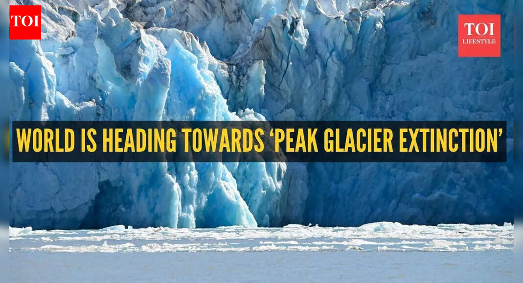 ‘Point of no return’: Scientists warn the world is heading towards ‘peak glacier extinction’