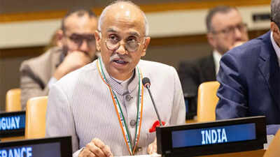 Watch: India rebukes Pakistan at UNSC; says J&K, Ladakh are integral parts of the country