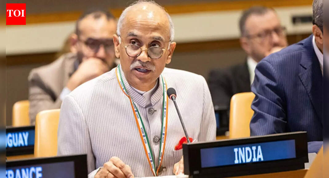 Watch: India rebukes Pakistan at UNSC; says J&K, Ladakh are integral parts of the country