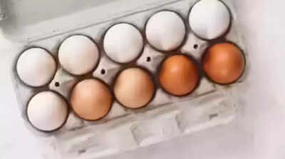 Test eggs for banned antibiotics, orders FSSAI after nitrofurans row