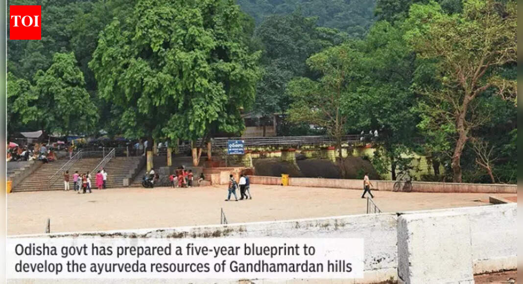 From Sanjivani legend to living pharmacy: Odisha bets on Gandhamardan