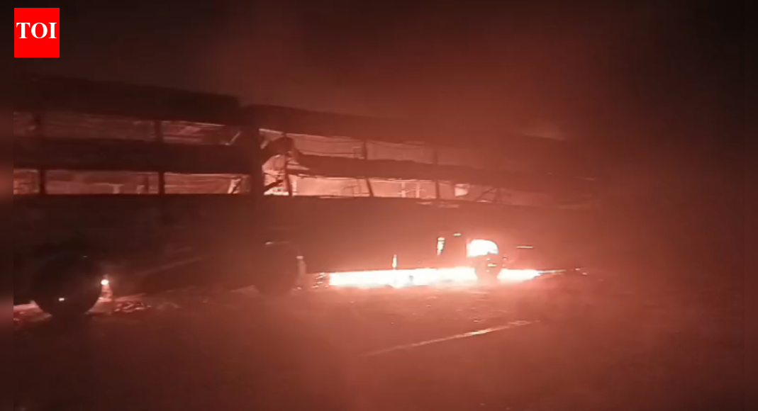 UP road accident: Several buses catch fire on Delhi-Agra expressway after collision; 4 killed