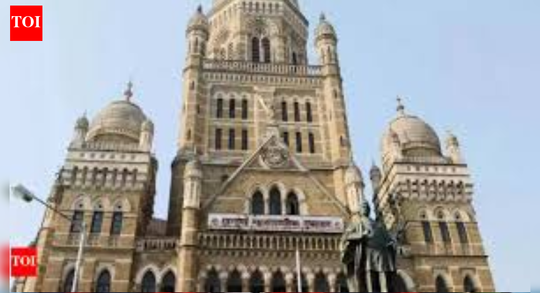 After years of wait, BMC poll date out: Voting on Jan 15, results Jan 16; projects rushed as model code kicks in